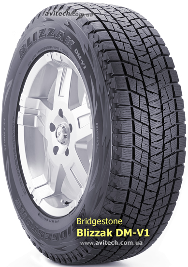 Bridgestone Blizzak DM-V1