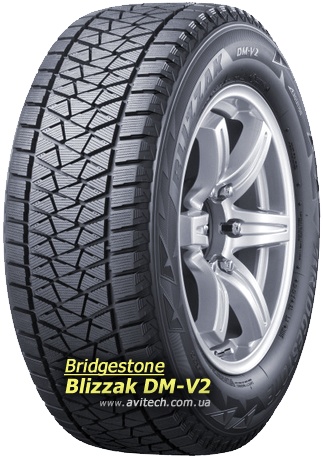 Bridgestone Blizzak DM-V2