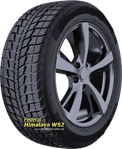 Federal Himalaya WS2