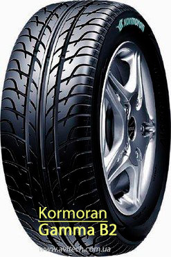 Kormoran Gamma B2